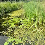 Mi Casita - Nad Jeziorem * Kołczewo