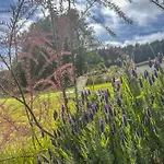 Mi Casita - Nad Jeziorem Kołczewo