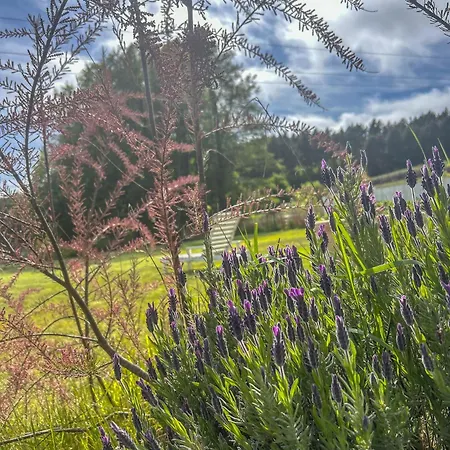 Mi Casita - Nad Jeziorem Kolczewo