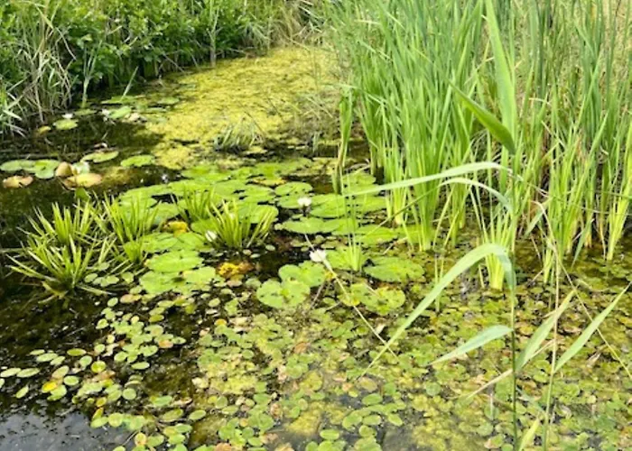 Mi Casita - Nad Jeziorem * Kołczewo