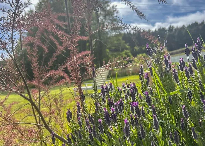 Mi Casita - Nad Jeziorem Kołczewo