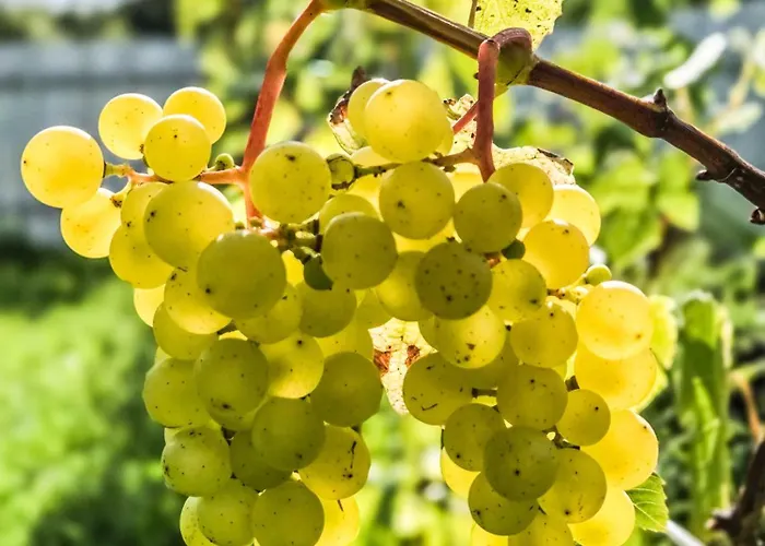 Tatil Evi Mi Casita - Nad Jeziorem